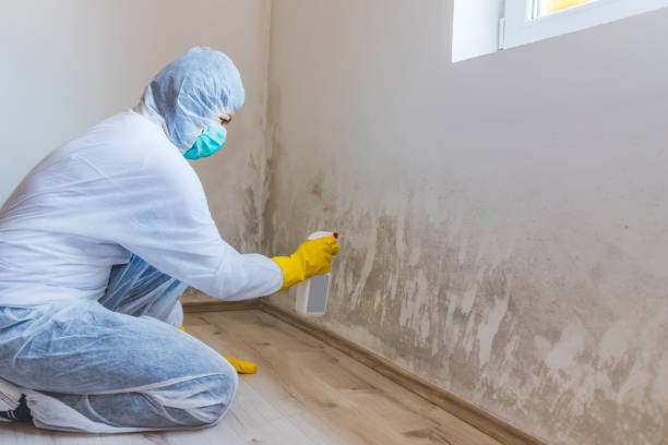 Licensed Commercial Mold Remediation service in Everett, PA - WQB Mold Removal