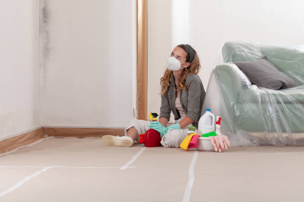 Reliable Commercial Mold Remediation contractor in Everett, PA by WQB Mold Removal